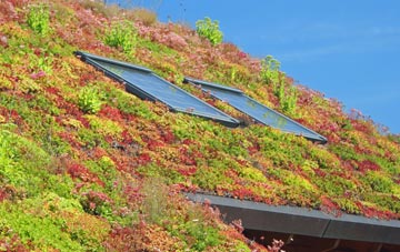 Combridge living roof systems